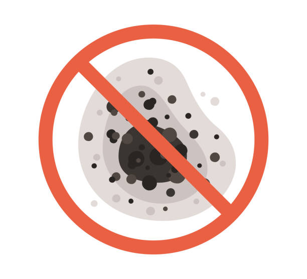 Mold Documentation for Insurance Claims in Manly, IA